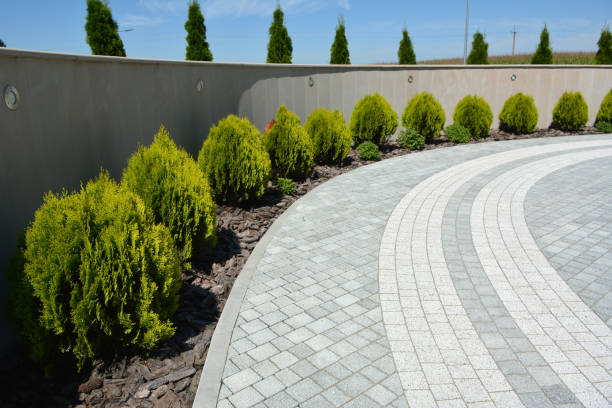 Best Driveway Paving Company  in Southeast Arcadia, FL